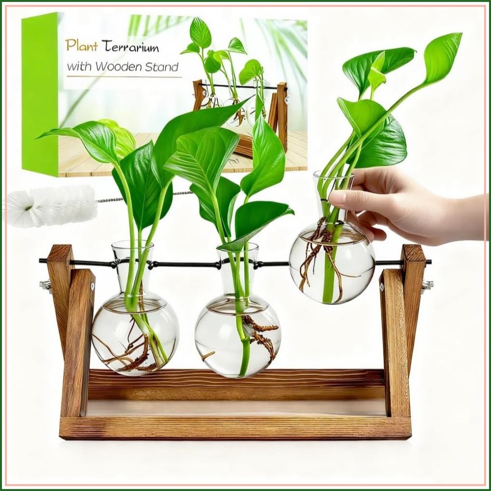 Propagation Station Vase - Plant Propagation Stations with Wooden Stand
