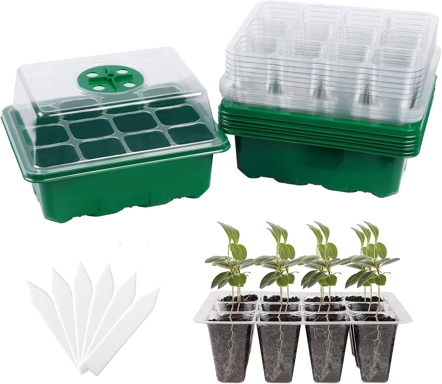 Humidity Dome Kit - 6-Pack Seed Starter Tray with Humidity