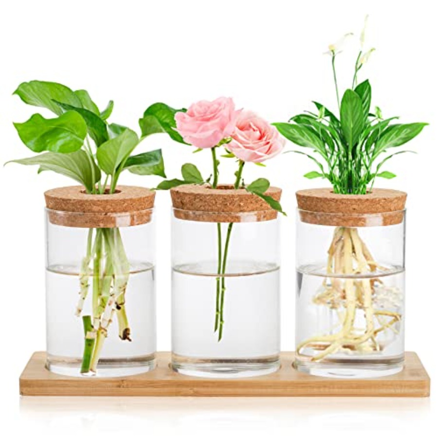 3 Pcs Plant Terrarium Propagat - огляд і ціна Propagation Station Vase