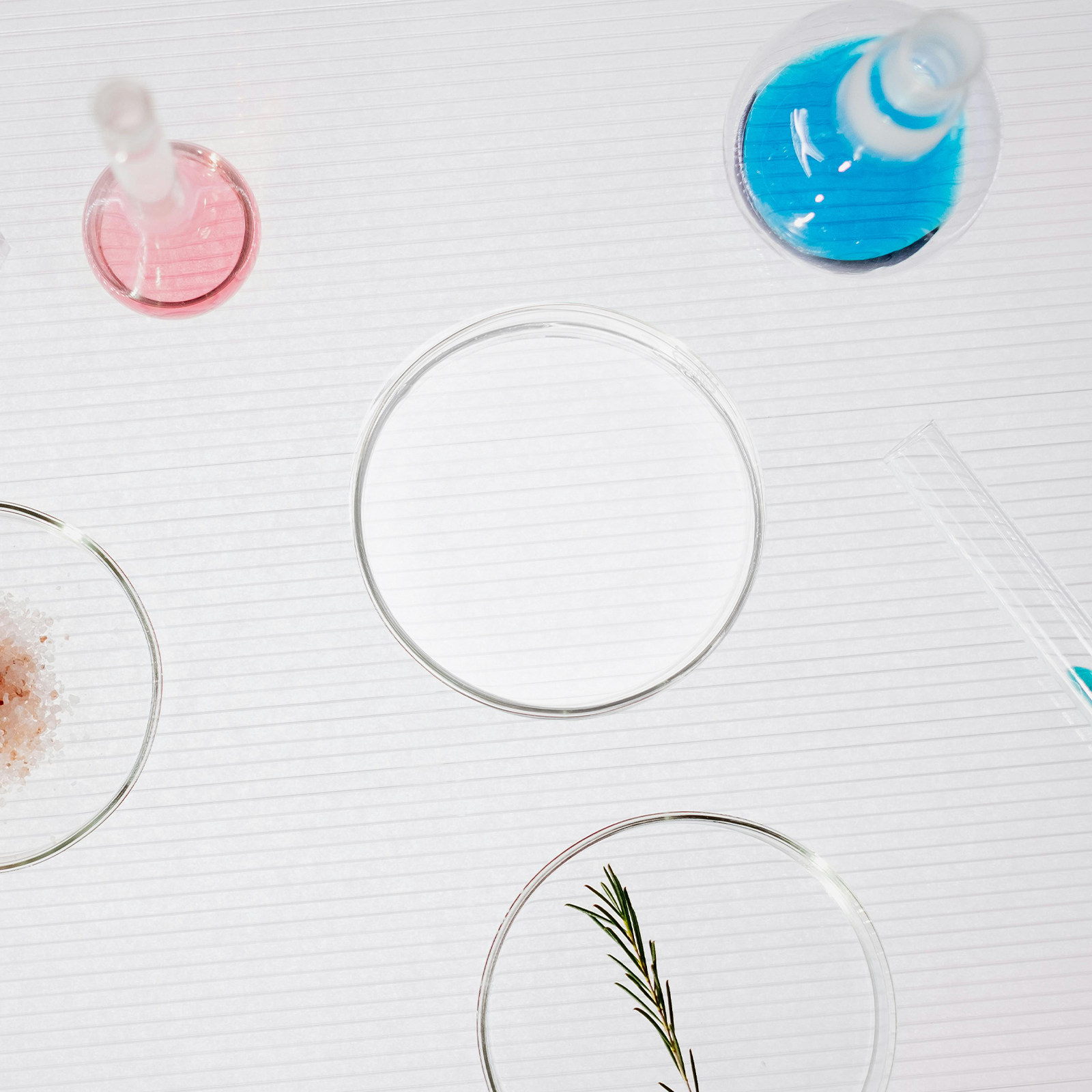 Glass Petri Dish Flat Bottom R - огляд і ціна Agar Tissue Culture