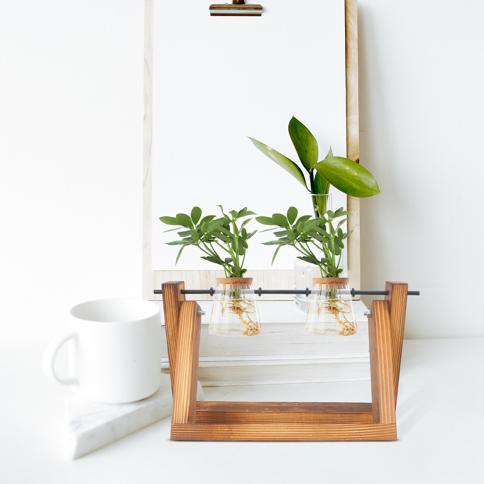 Hydroponic Propagating Jars Ho - огляд і ціна Propagation Station Vase