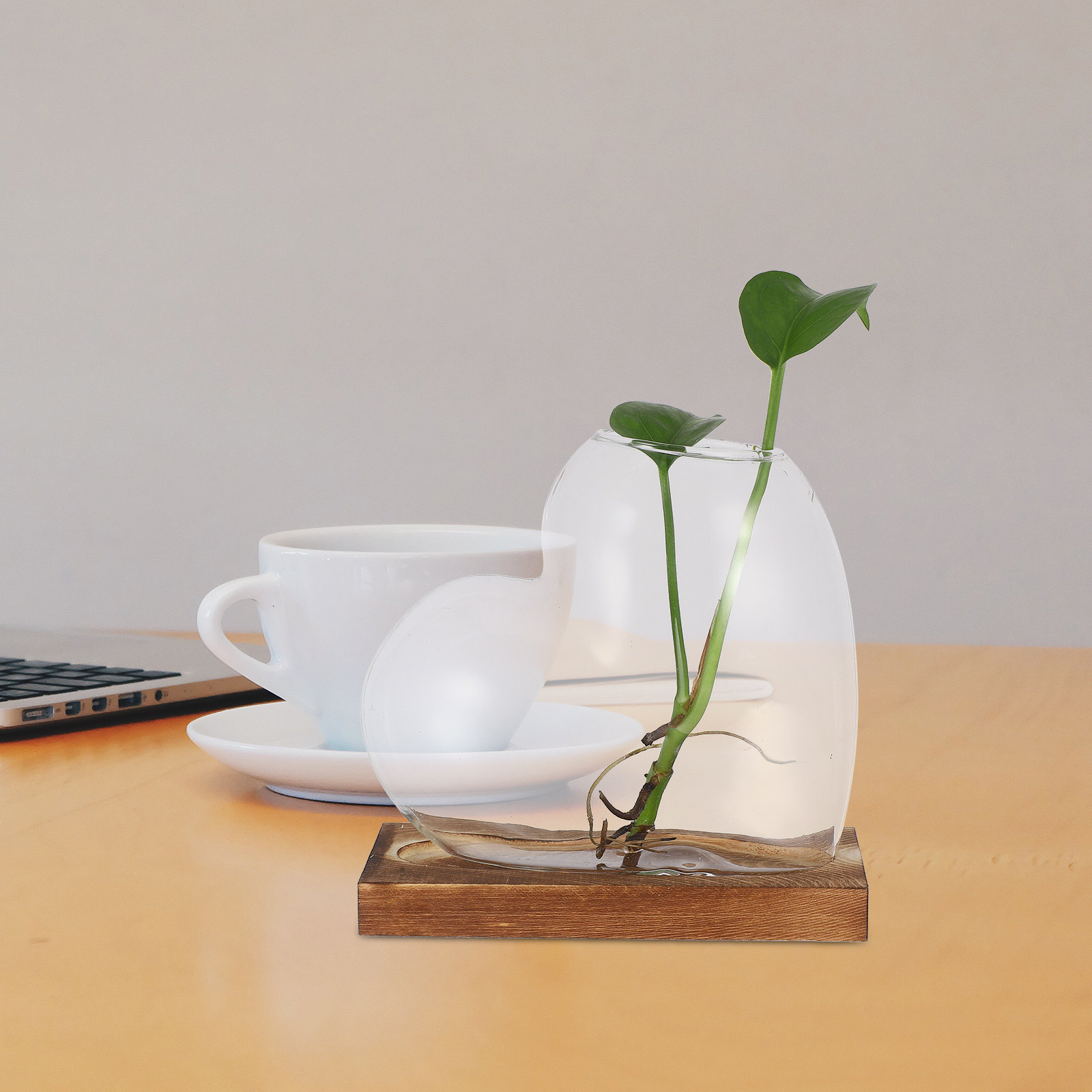 Heart Glass Planter Vase Hydro - огляд і ціна Propagation Station Vase