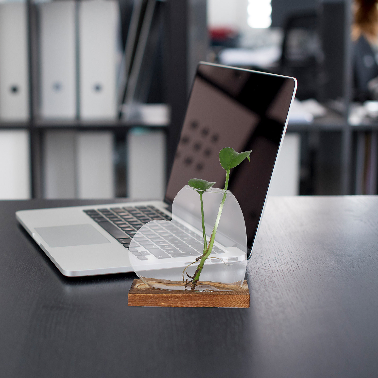 Heart Glass Planter Vase Hydro - огляд і ціна Propagation Station Vase