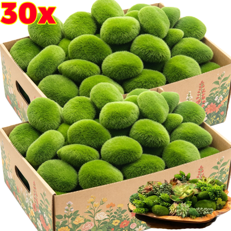 5/30pcs Simulation Moss Stone  - огляд і ціна Sphagnum Moss Dry