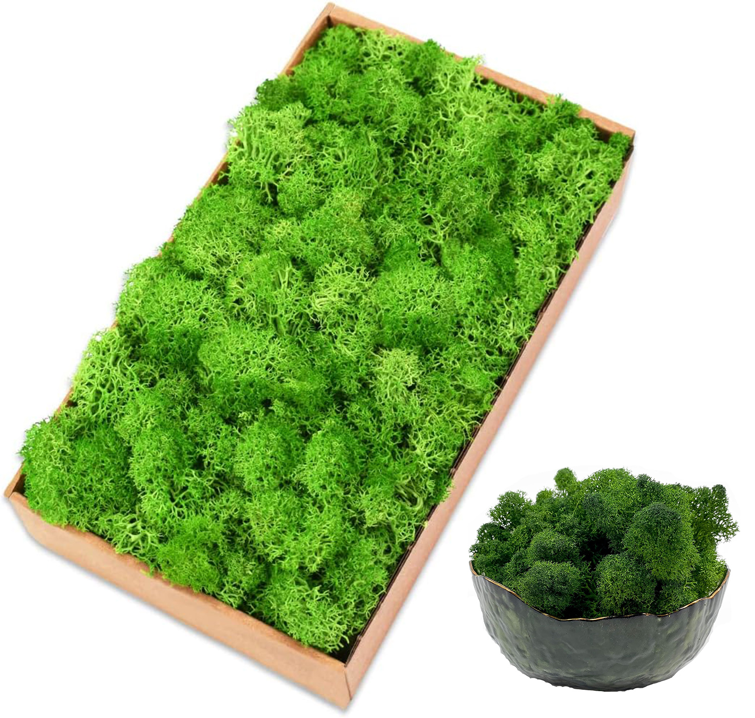 Eternal Life Moss Artificial G - огляд і ціна Sphagnum Moss Dry