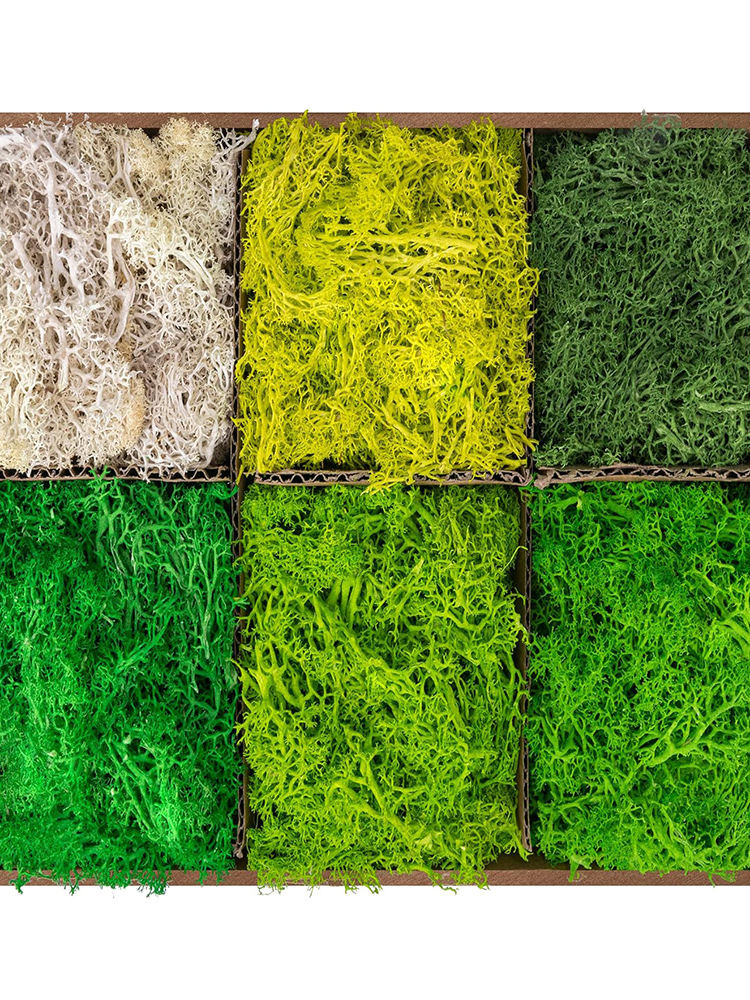 Eternal Life Moss Artificial G - огляд і ціна Sphagnum Moss Dry