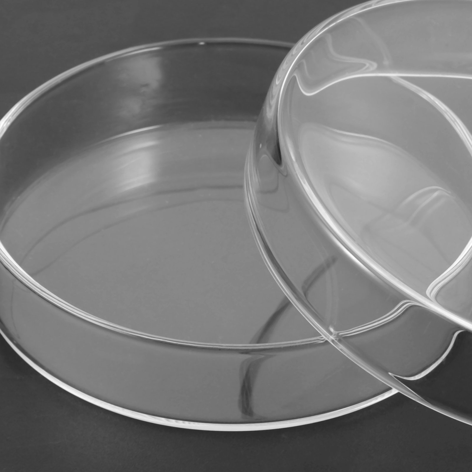 High Borosilicate Glass Petri  - огляд і ціна Agar Tissue Culture