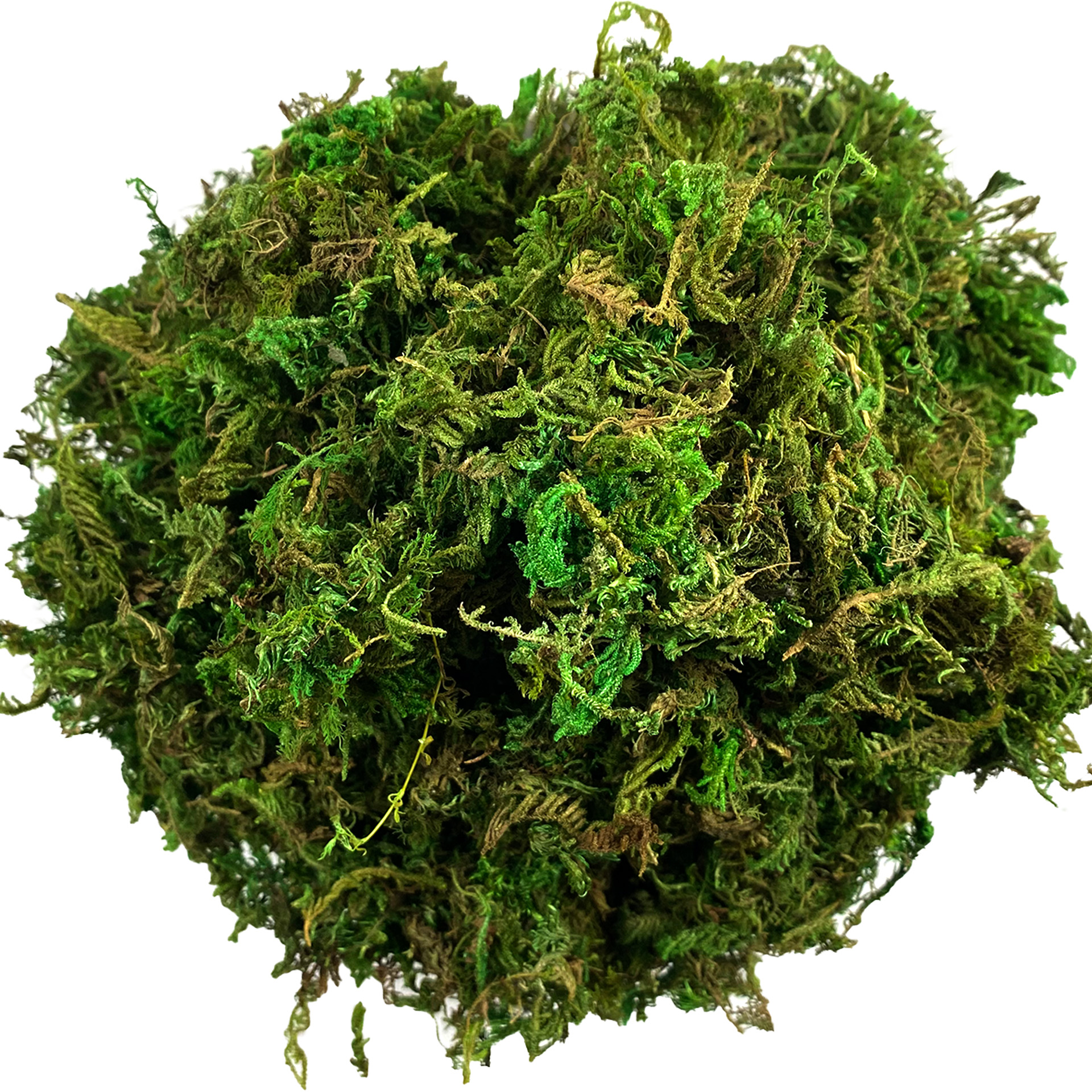 Artificial Moss Green for Pott - огляд і ціна Sphagnum Moss Dry