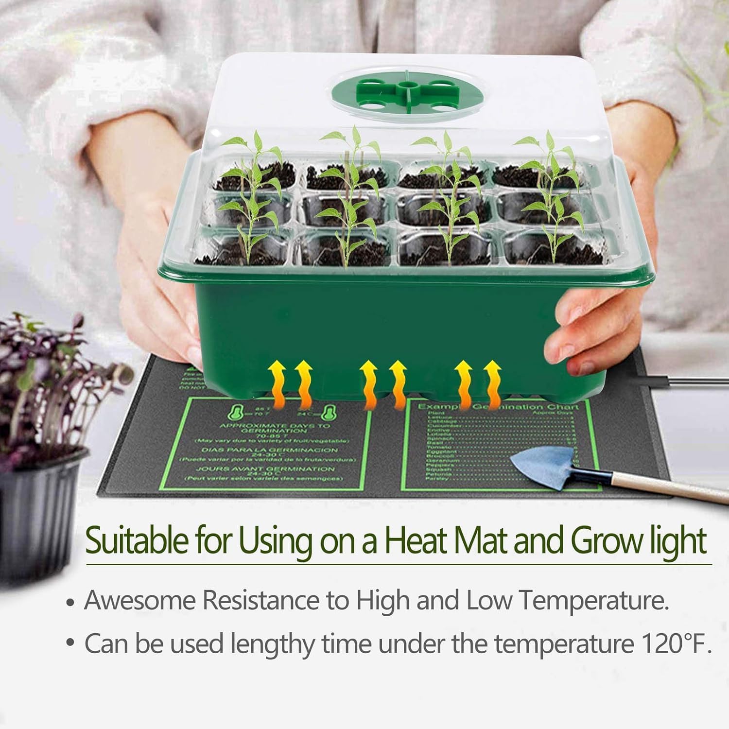 6-Pack Seed Starter Tray with  - огляд і ціна Humidity Dome Kit