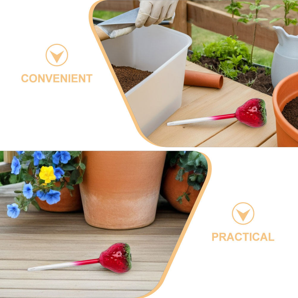 2Pcs Glass Strawberry Water Bu - огляд і ціна Self Watering Insert