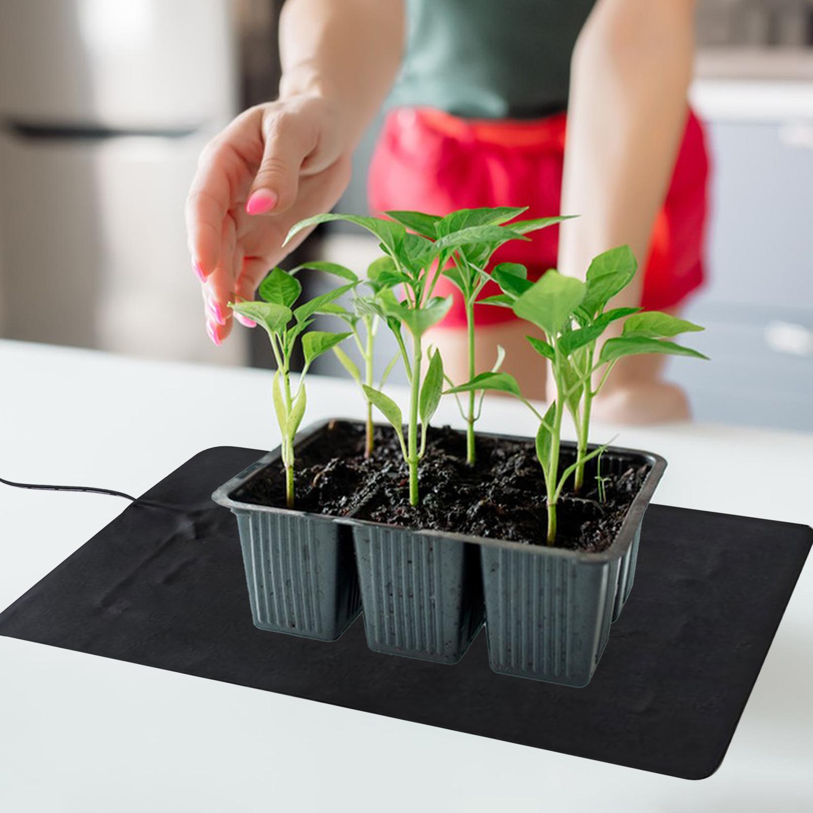 3 Temperature Adjustable Plant - огляд і ціна Heat Mat Seedling
