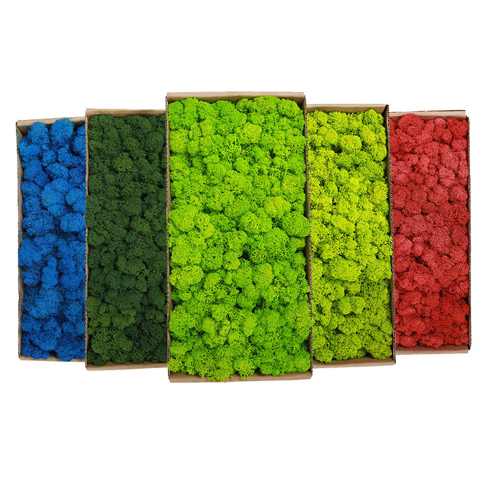 20/80g Eternal Life Moss Grass - огляд і ціна Sphagnum Moss Dry