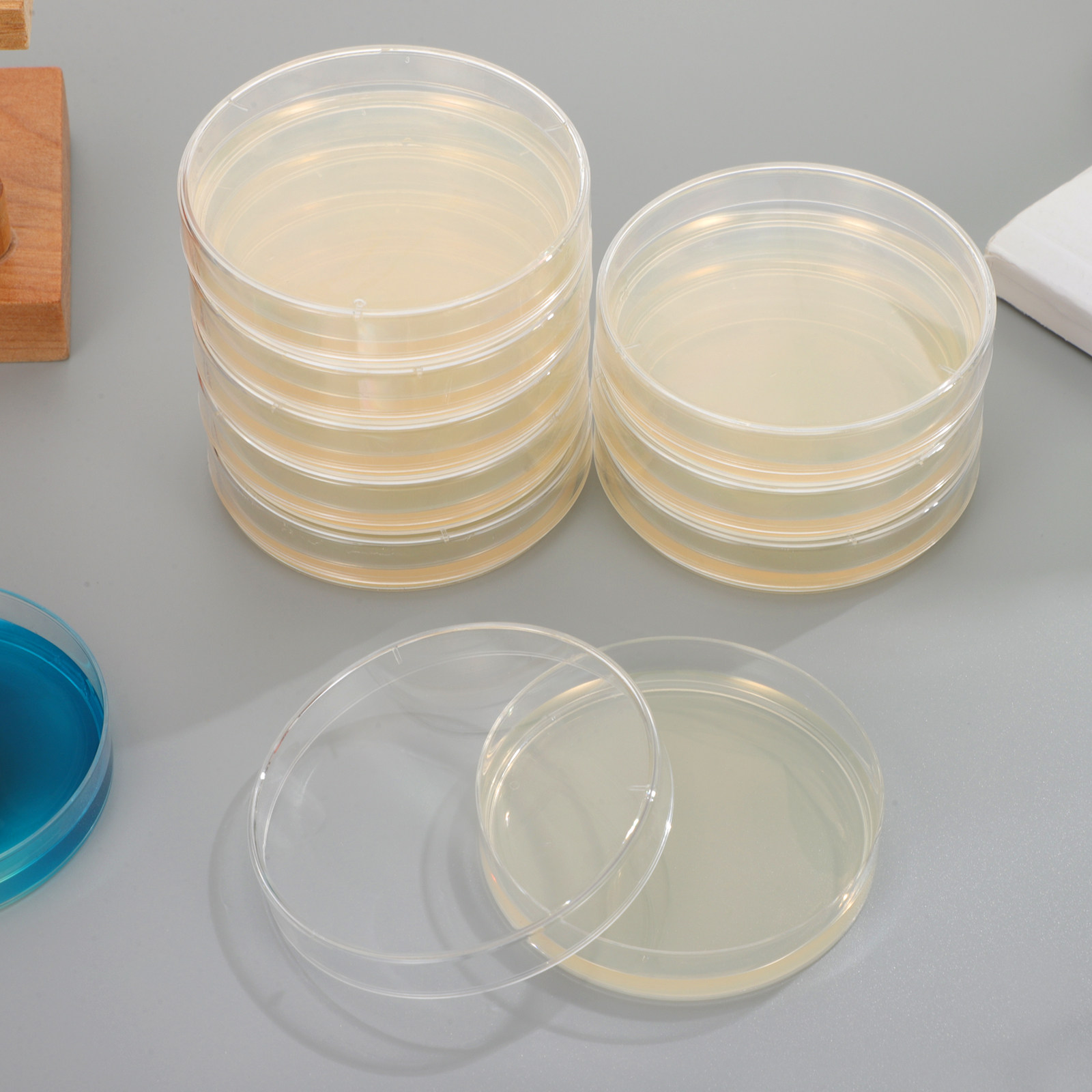 20Pcs Agar Petri Plates Pre-Po - огляд і ціна Agar Tissue Culture