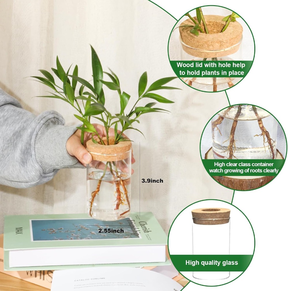 Desktop Glass Flower Vases - I - огляд і ціна Propagation Station Vase