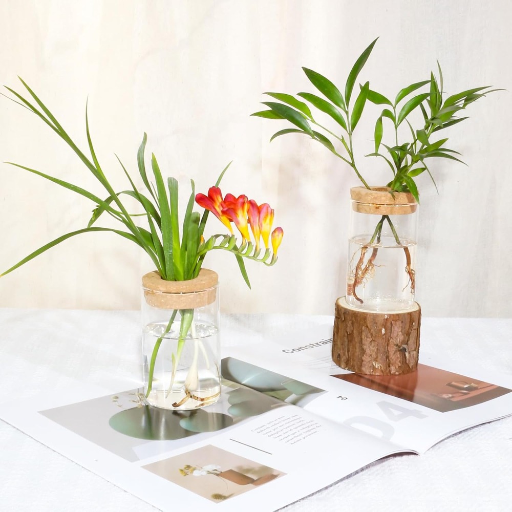 Desktop Glass Flower Vases - I - огляд і ціна Propagation Station Vase