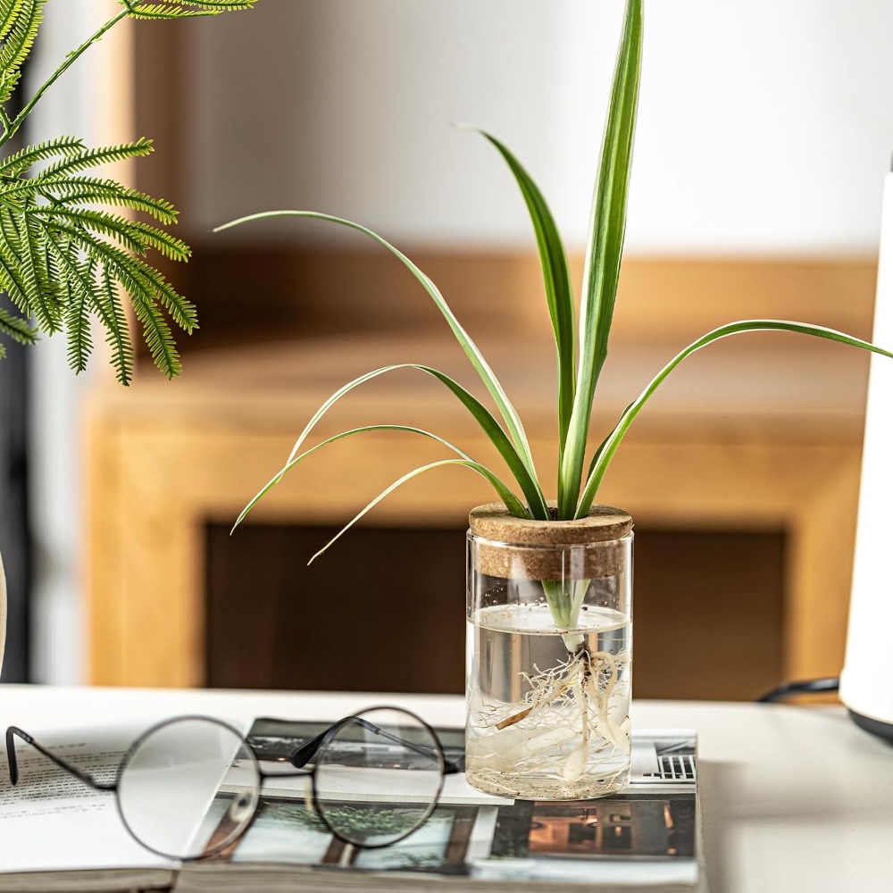 Desktop Glass Flower Vases - I - огляд і ціна Propagation Station Vase