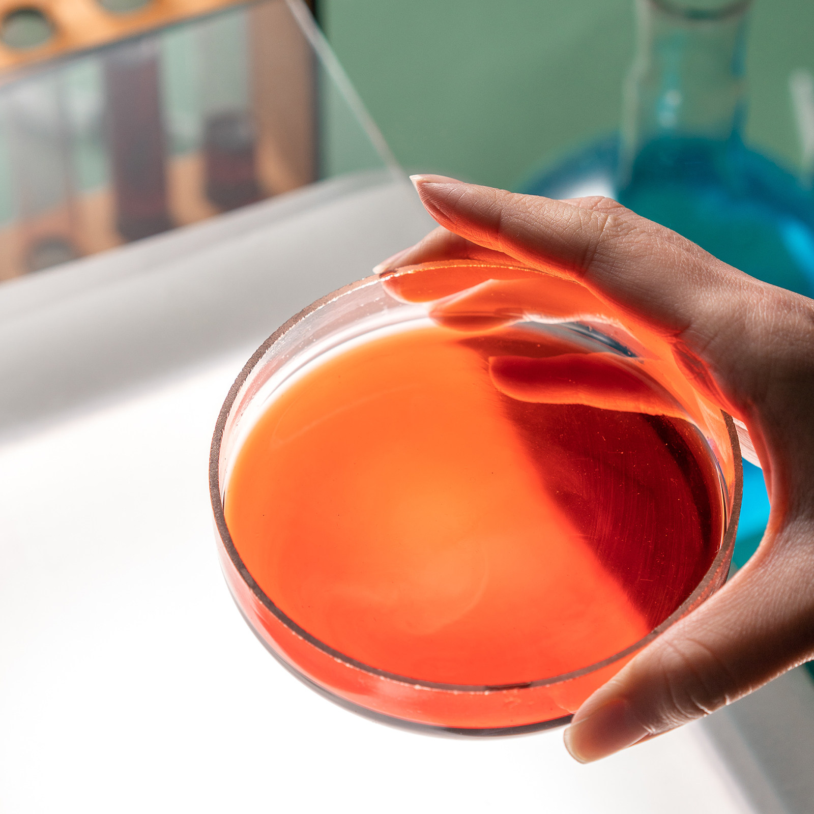 Laboratory Glass Petri Dish Fl - огляд і ціна Agar Tissue Culture