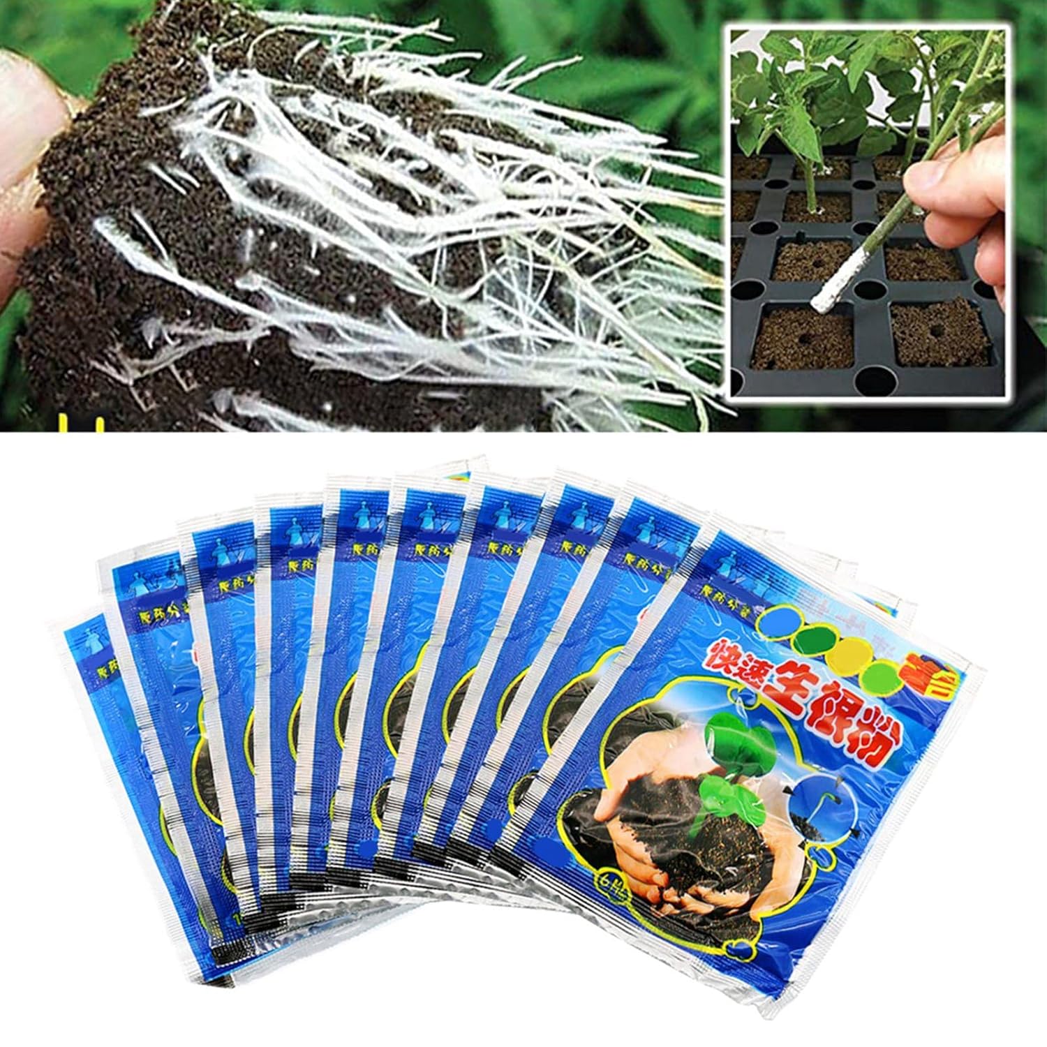 10 Bag 10g Rooting Powder for  - огляд і ціна Rooting Hormone Powder