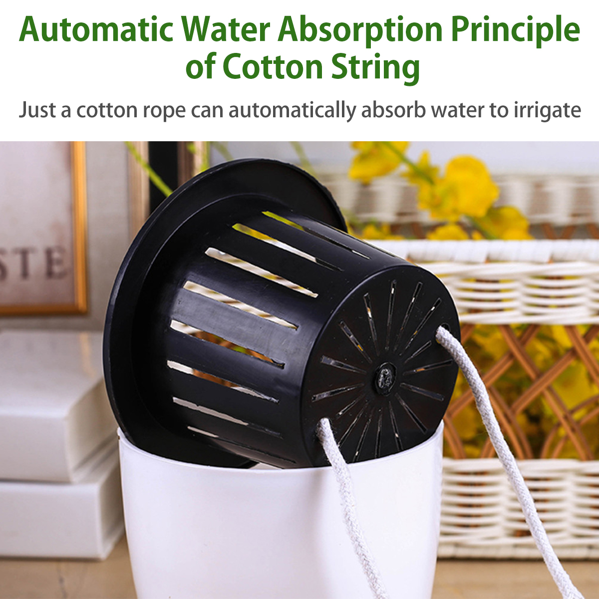 6/12Pcs Self-Watering Flower P - огляд і ціна Self Watering Insert