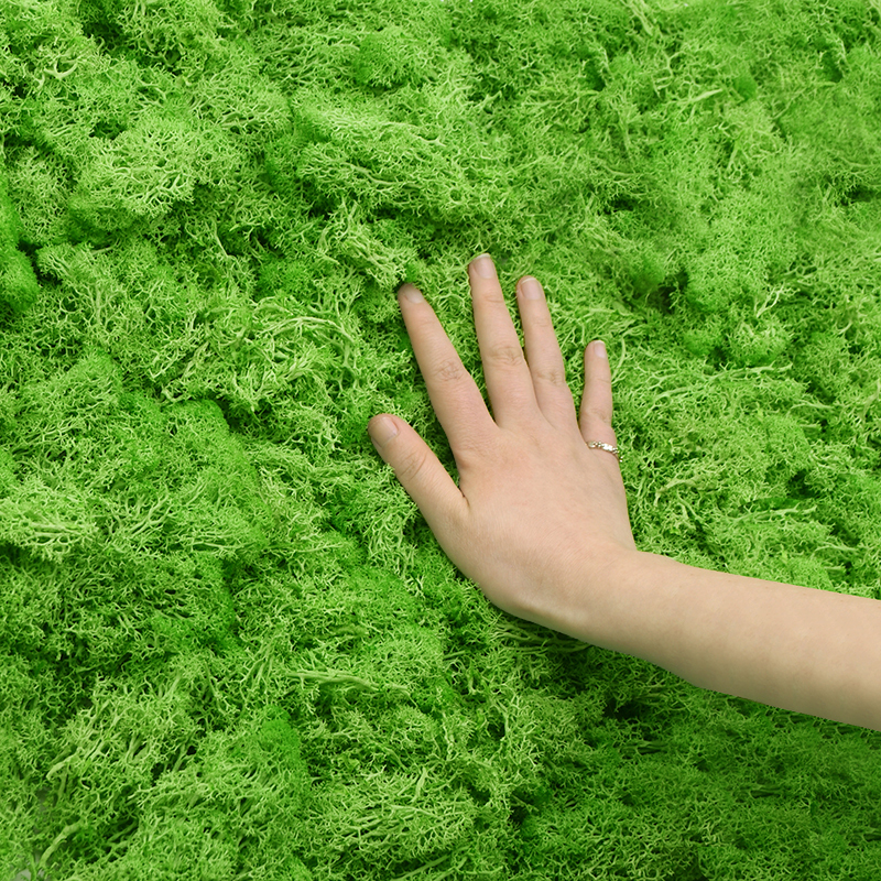20G Natural Moss Artificial Pl - огляд і ціна Sphagnum Moss Dry